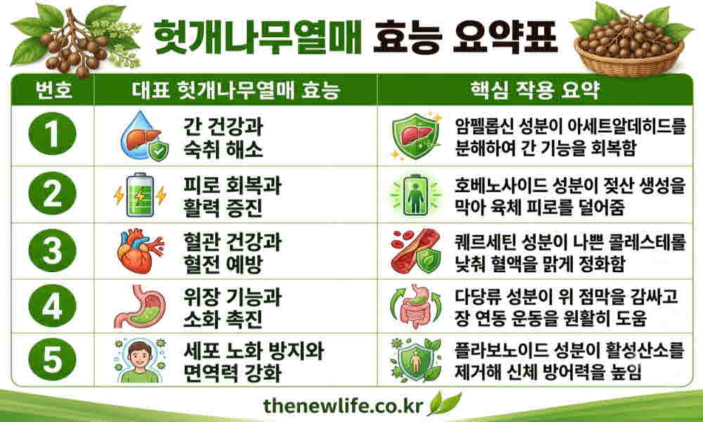 헛개나무열매 효능 요약표