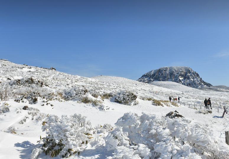 한라산 설경