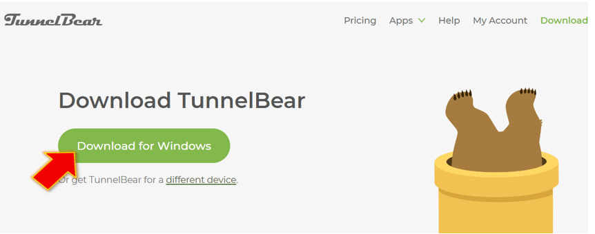 터널베어-설치파일-다운로드