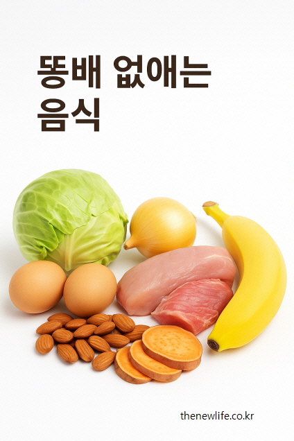 A clean arrangement of healthy foods on a white background including cabbage, onion, banana, sweet potato, almonds, eggs, chicken and pork – ingredients known to help reduce belly fat.-양배추, 양파, 바나나, 고구마, 아몬드, 달걀, 닭고기, 돼지고기를 하얀 배경에 깔끔하게 배열한 이미지 – 똥배를 없애는데 도움이 되는 대표적인 음식들.