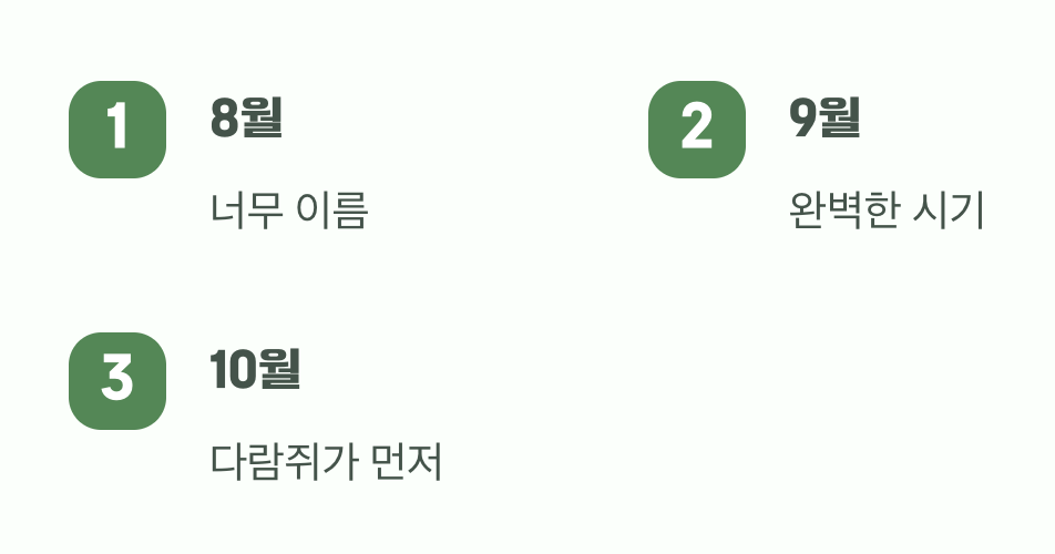 그래서&amp;#44; 언제 따는 것이 정답일까?