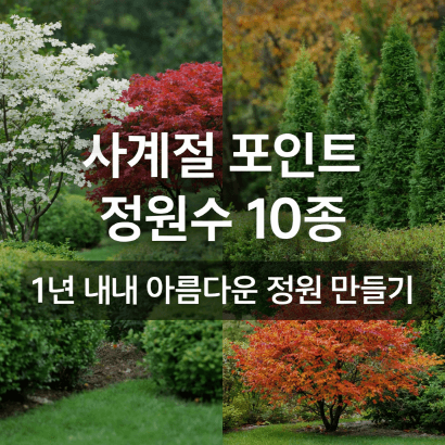 봄&middot;여름&middot;가을&middot;겨울 모두 빛나는 사계절 정원수 BEST 10