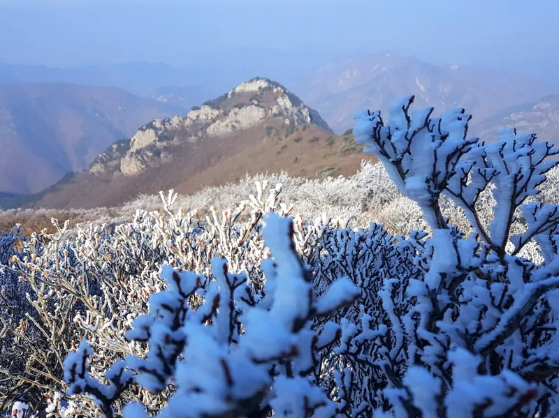 울산 가지산 설경
