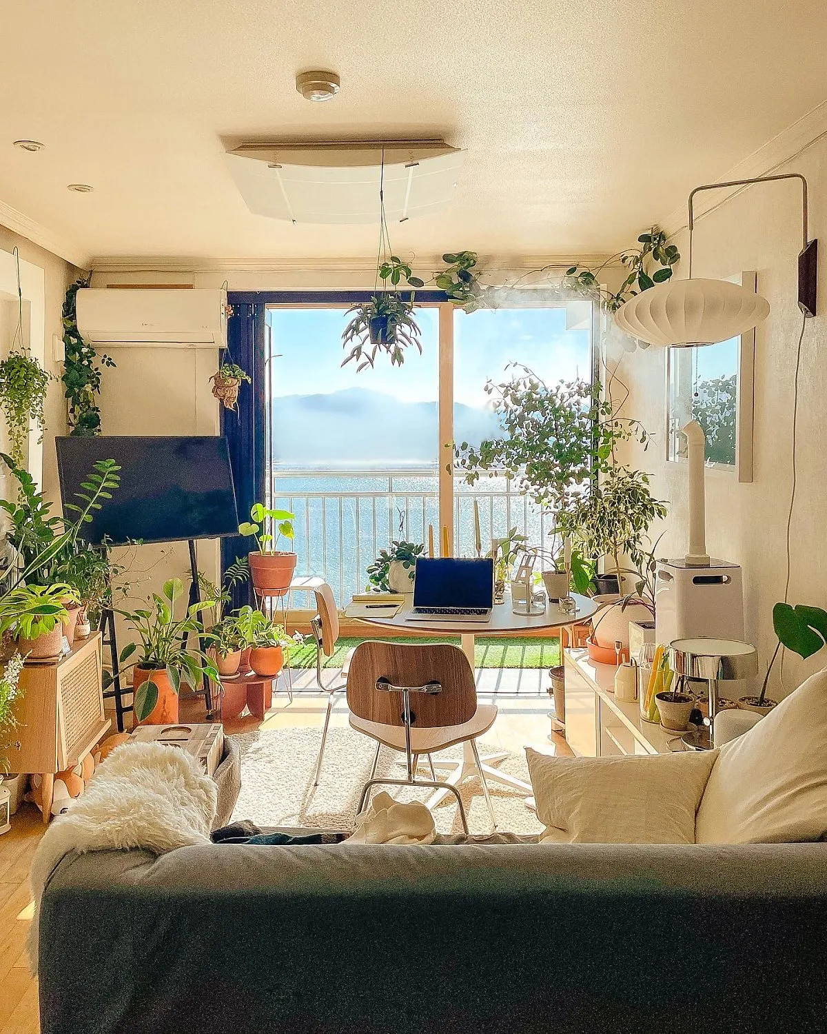 플랜테리어 거실 식물배치 물주기 습도관리 초보 인테리어 팁_8