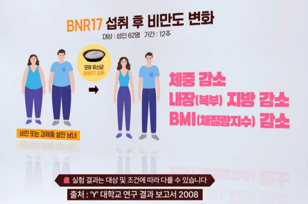 bnr17 유산균 효능
