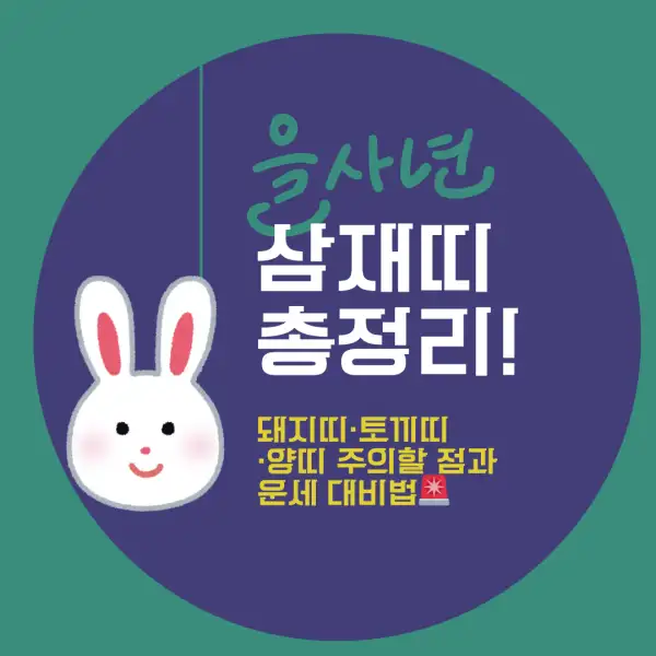 2025년 삼재띠 총정리!