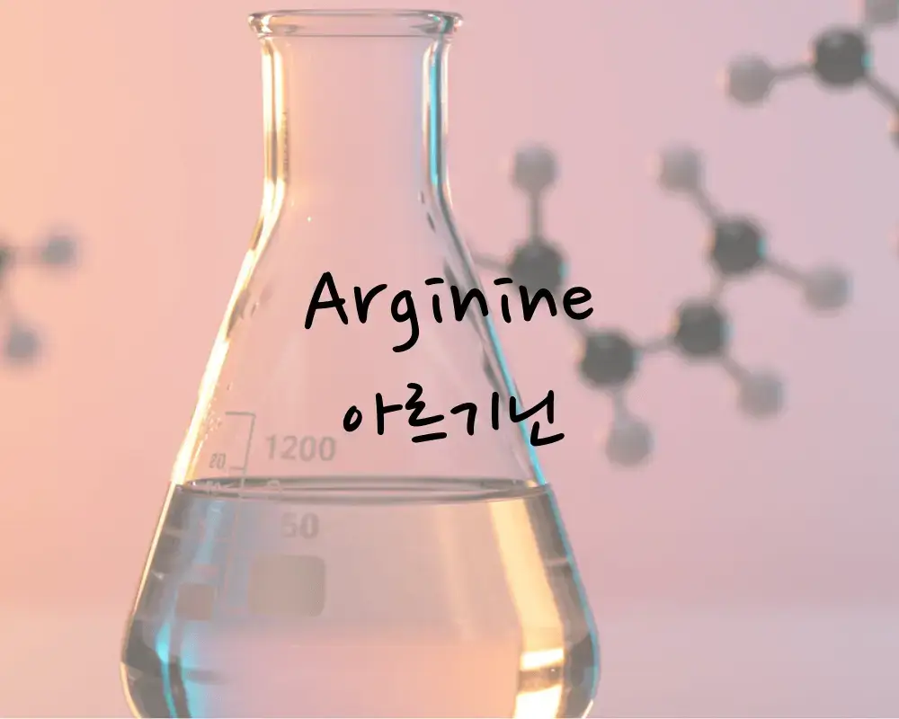 슈퍼 아미노산 아르기닌