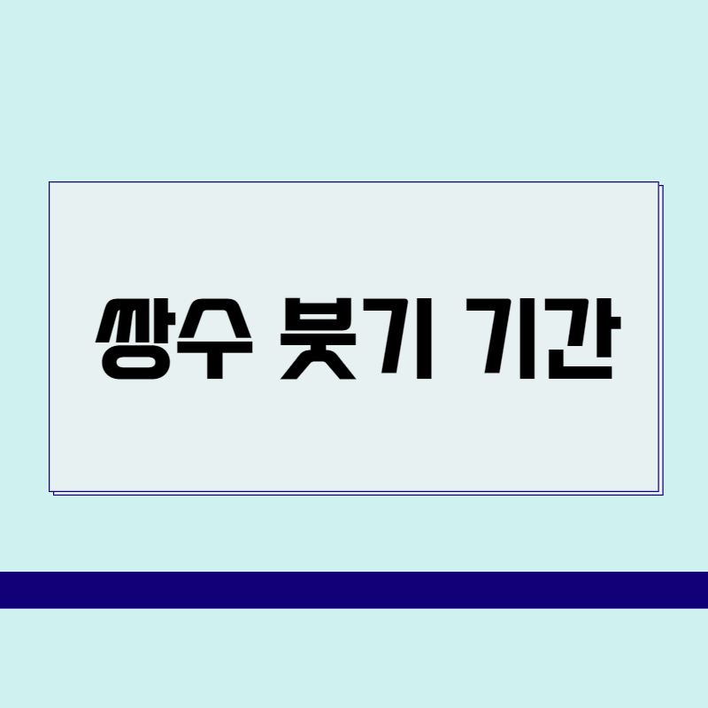 쌍수 붓기 기간