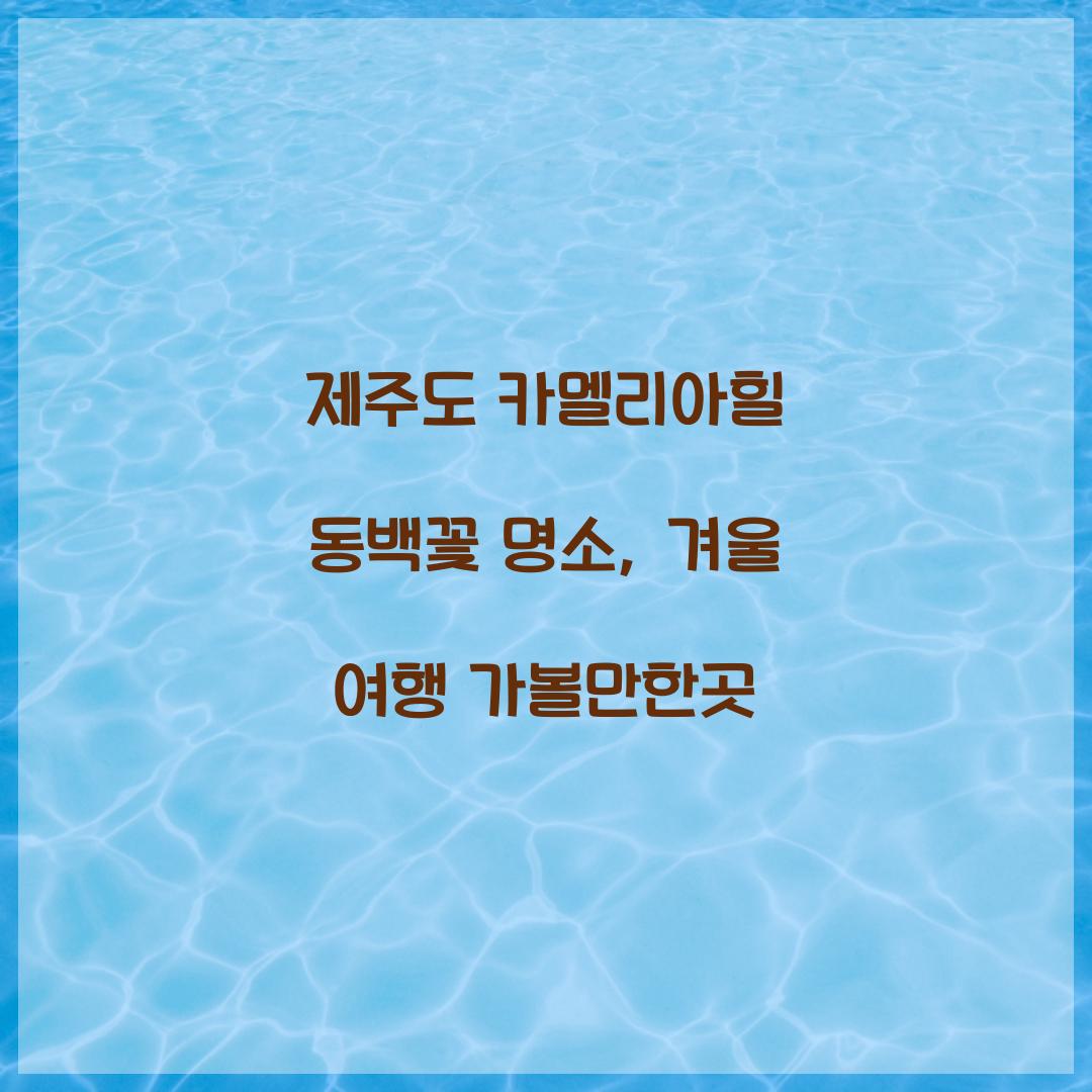 제주도 카멜리아힐 동백꽃 명소