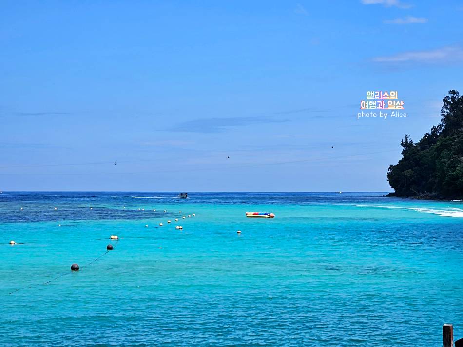 코타키나발루 씨워킹 사피섬 & 마누칸섬 투어 추천 예약 후기