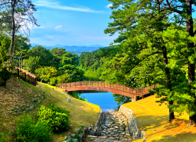 나주 금성산생태숲1