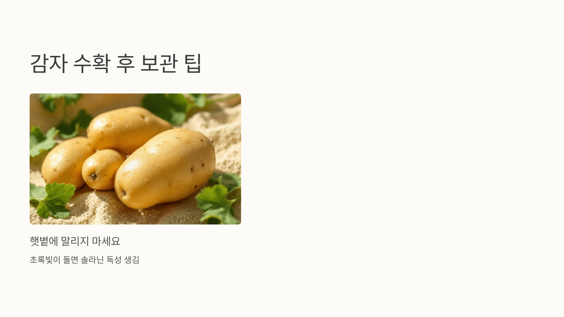 감자 사진입니다.