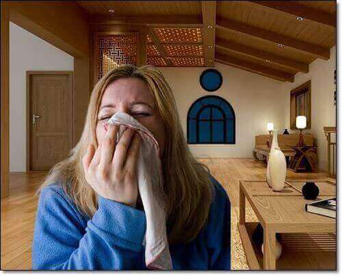 비름나물 항염 효과