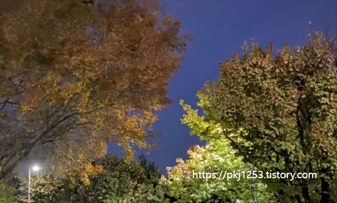 Alt 속성 문제 해결 설명 이미지