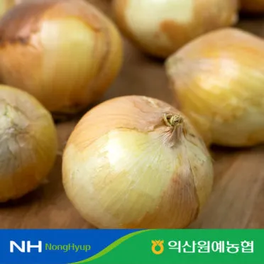 양파 보관법 양파 오래 보관법 3가지 방법_12