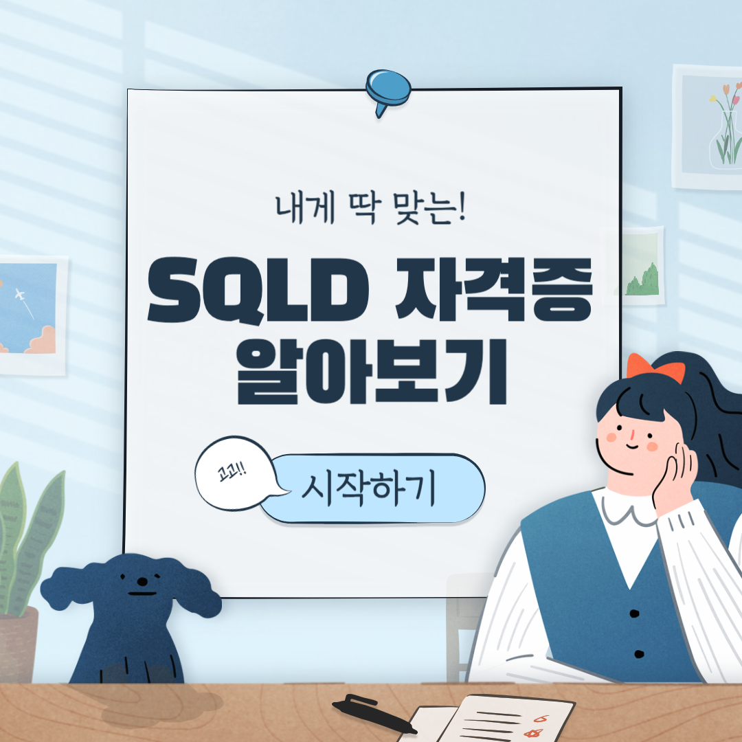 SQLD 자격증
