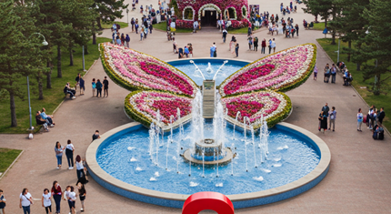 함평 나비대축제