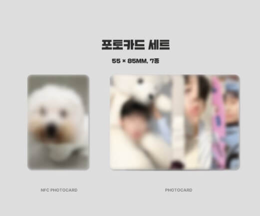 임영웅 굿즈 2025 시즌그리팅
