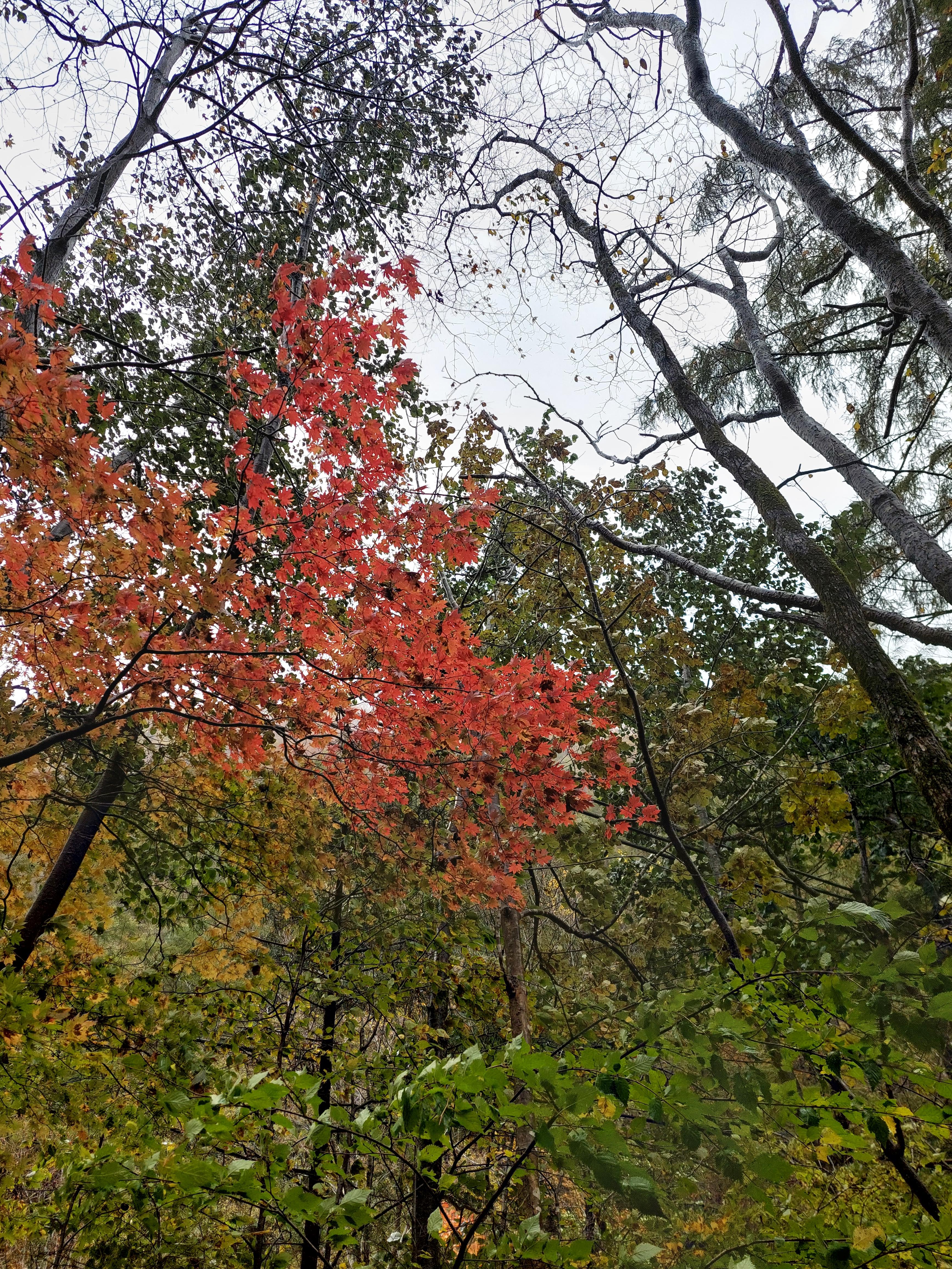 선재길