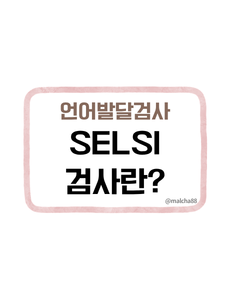 SELSI 검사 영유아 언어검사