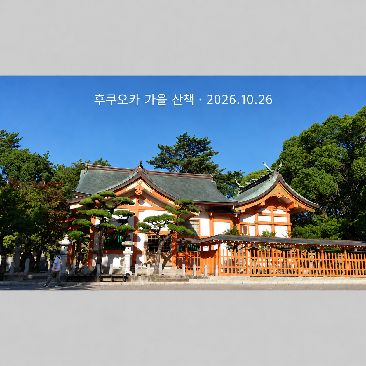 모미지하치만구 본전과 배전의 2022년 7월 사진을 바탕으로 편집한 2026년 10월 26일 기사 표지
