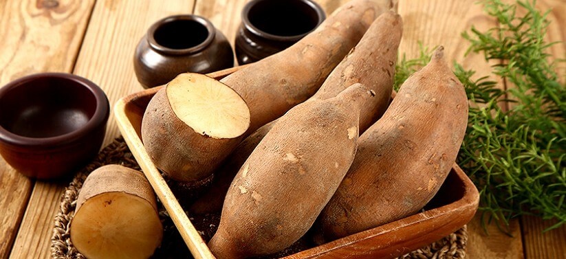 야콘 효능