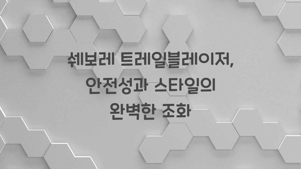 쉐보레트레일블레이저