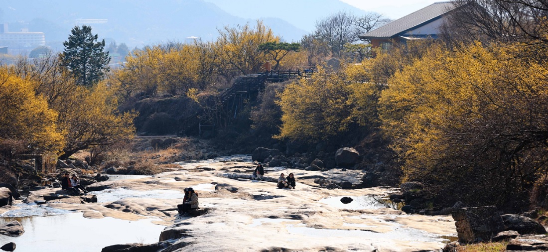 구례 산수유꽃축제 가는 길