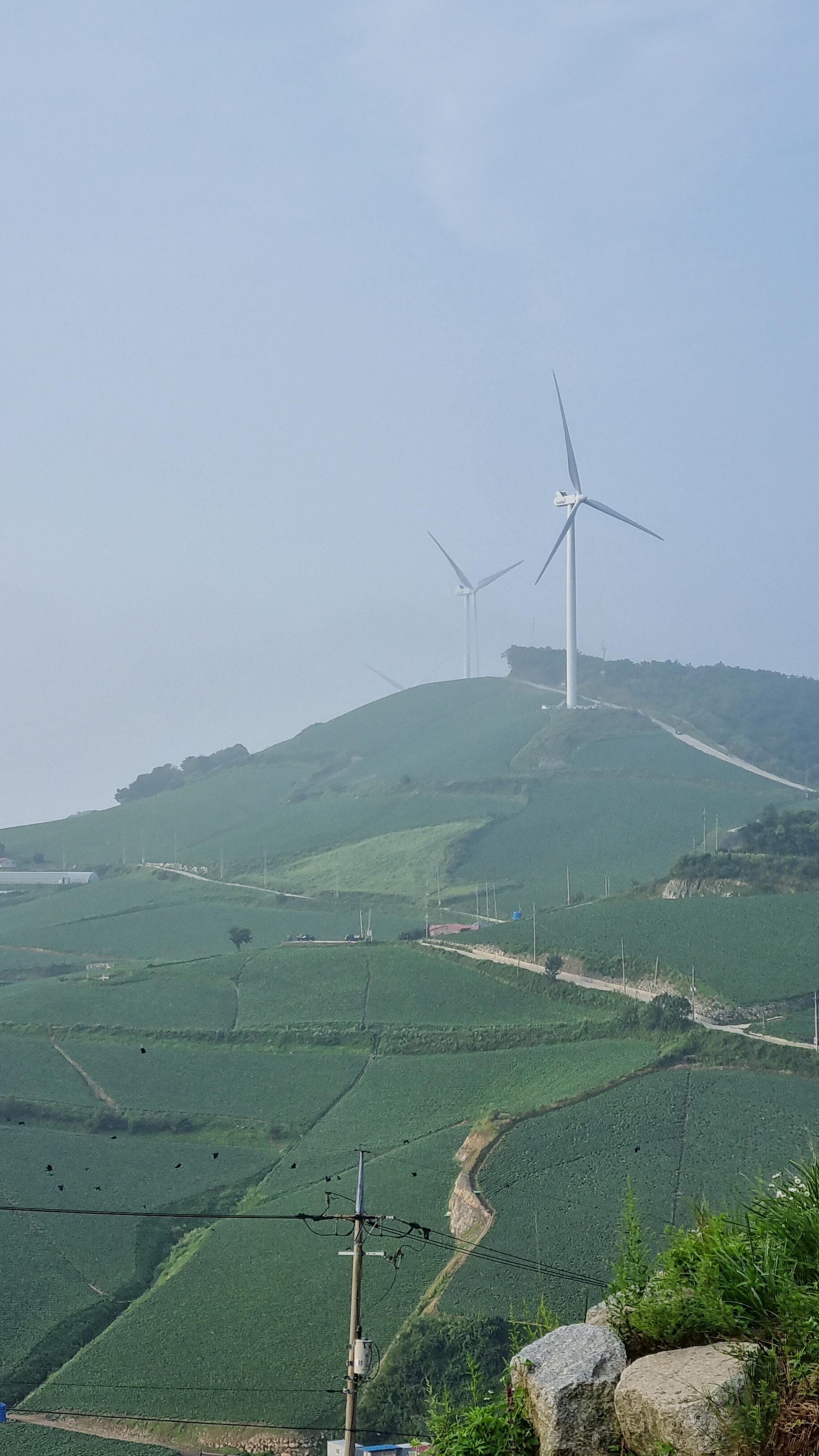 새벽의_안반데기