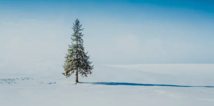 홋카이도 비에이, 겨울왕국 스노우 트레킹