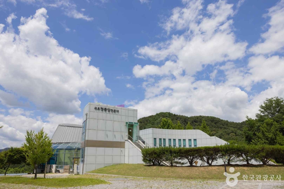 11월 지역 축제 강원 세종 대전 가을 축제