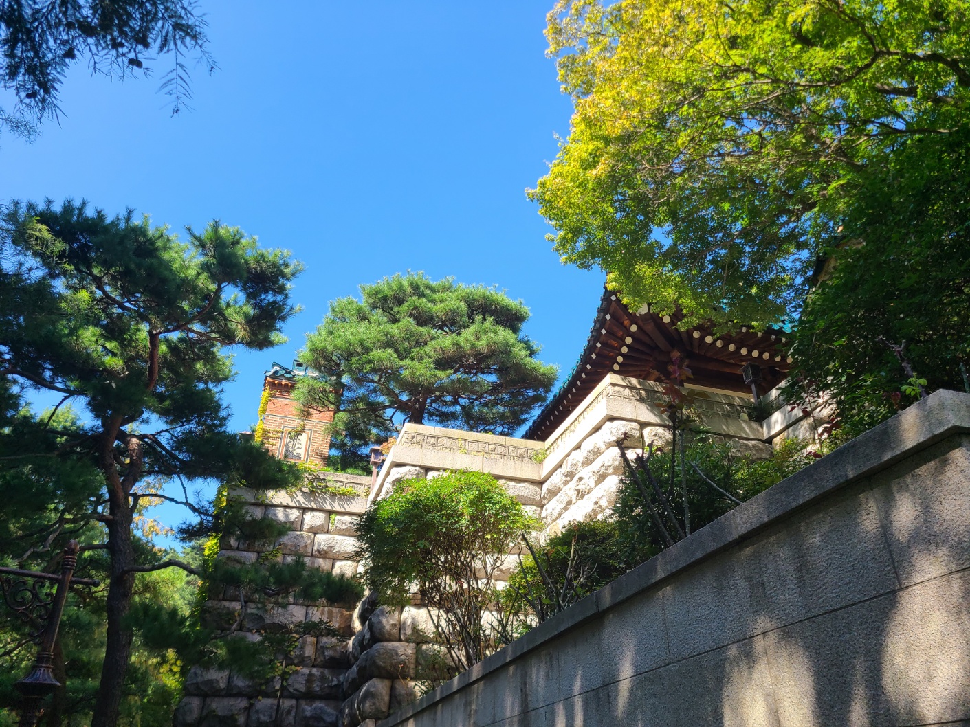 청와대 관람 하기