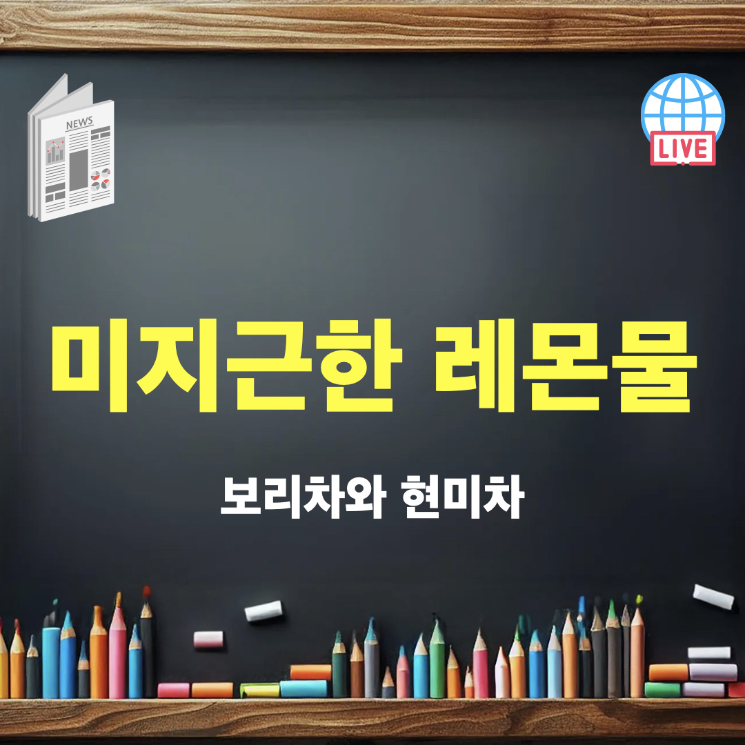 보리차와현미차