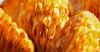 상황버섯 효능 부작용