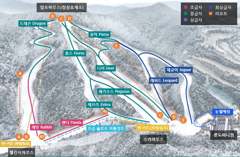엘리 시안 강촌 스키장 슬로프