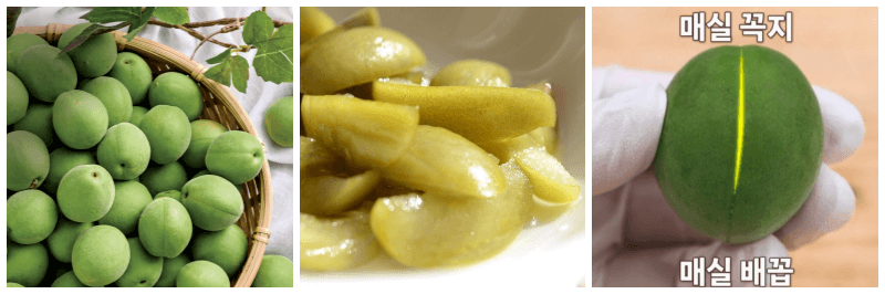 매실, 매실장아찌, 매실 배꼽과 꼭지 사진