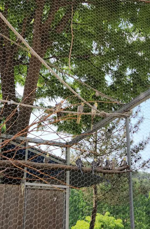 청주랜드동물원