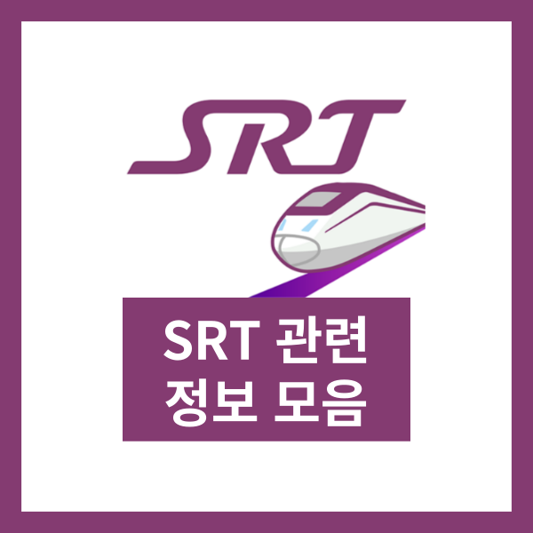 SRT 관련 정보 모음