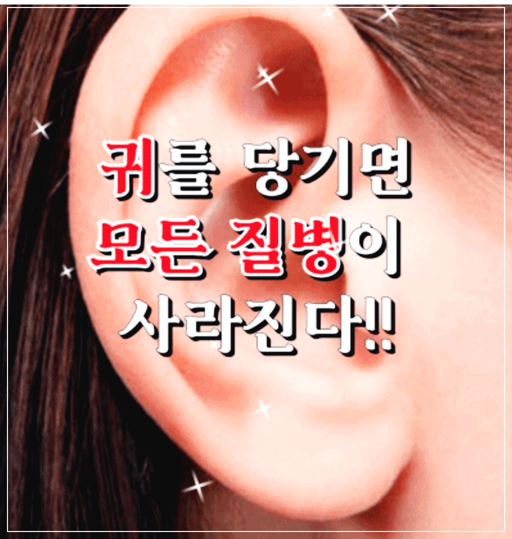 귀 잡아당기기