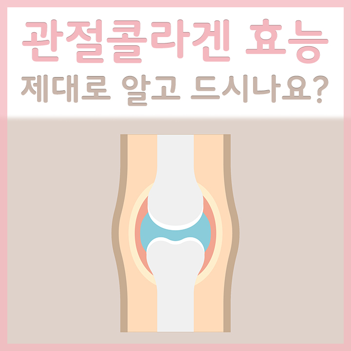 건강한-관절의-모습