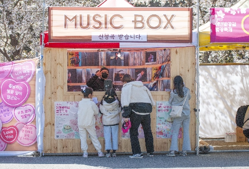 가평 벚꽃명소 에덴벚꽃길 벚꽃축제