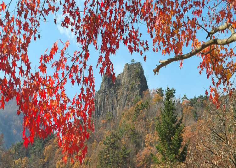 내장산 등산코스