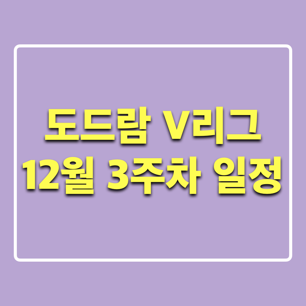 도드람_V리그_12월3주_경기일정