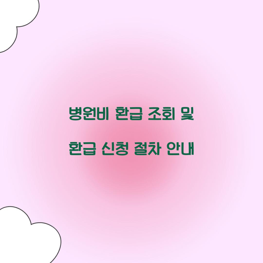 병원비 환급 조회