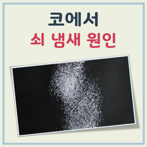 코에서 쇠냄새 대표 이미지