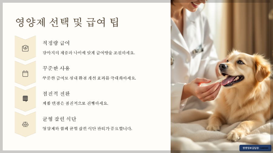 강아지 입양 첫날 준비물 리스트