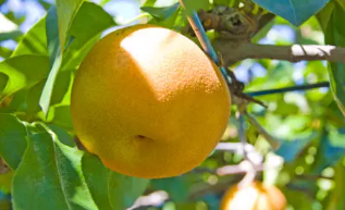 9월 제철 음식, 9월 제철 해산물