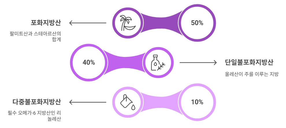 팜오일의 영양성분