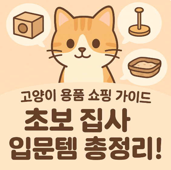 초보 집사 쇼핑리스트 6가지 필수템 정리