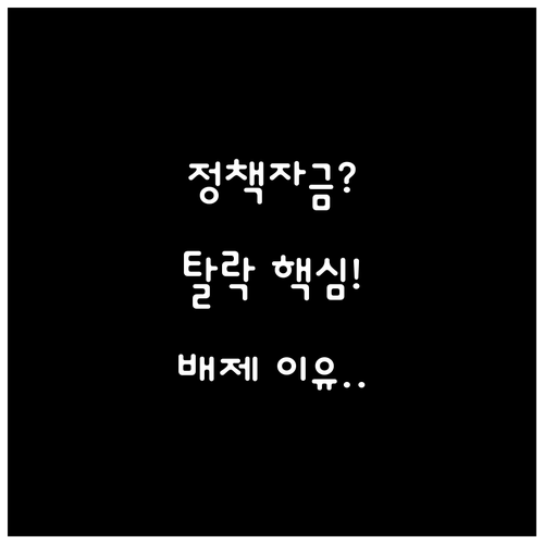 정부 정책자금 대출 자격 기준 미달 ..